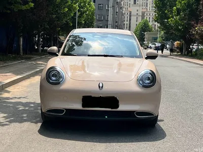2022 Ora Good Cat 400km Standard Range Premium NMC, фото 2, лот 11178297