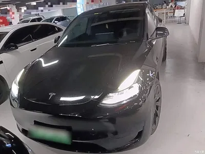 2022 Tesla Model Y Rear-Wheel Drive Version, фото 3, лот 10390579