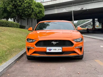 2021 Ford Mustang 2.3T EcoBoost, фото 2, лот 10280032