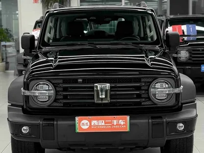 2025 Tank 300 New Energy Hi4-T, фото 3, лот 10344624