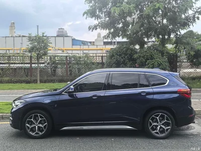 2018 BMW X1 New Energy xDrive25Le Luxury Model, фото 4, лот 10475373