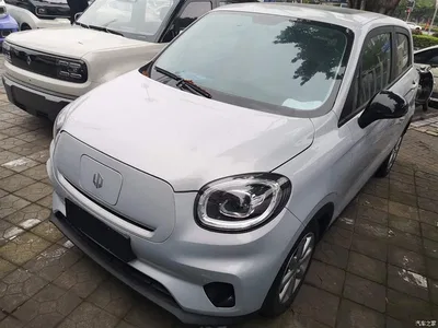 2022 Leapmotor T03 Golden Glory Edition, фото 2, лот 10442402