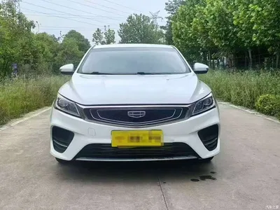 2019 Geely Binrui 200T DCT Binshi Edition, фото 1, лот 10308951