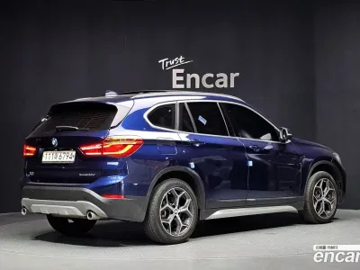 2019 BMW X1 xDrive 20d xLine, фото 1, лот 10064663