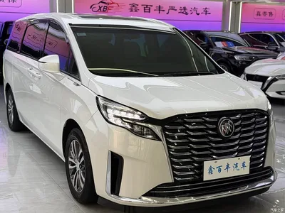 2020 Buick GL8 Model ES Landglory 653T Comfort, фото 3, лот 11087290