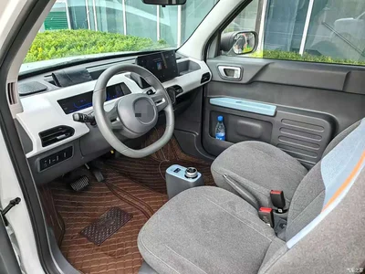2024 Geely Galaxy Panda mini 200km Endurance Bear, фото 4, лот 10431033