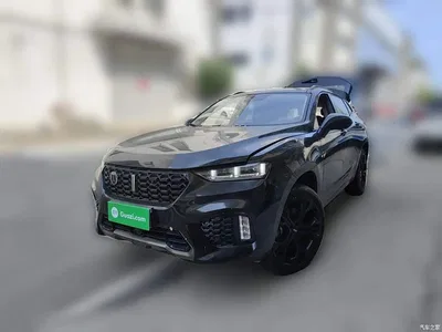 2017 WEY VV7 2.0T Flagship, фото 2, лот 10263317
