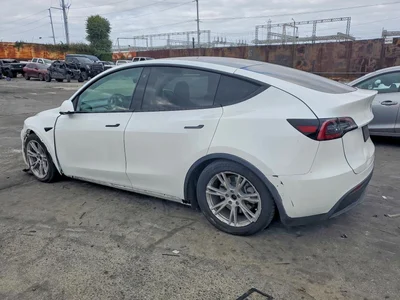 2020 TESLA MODEL Y, фото 2, лот 11592472