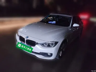 2016 BMW 3 Series 320Li Progressive, фото 1, лот 10458040