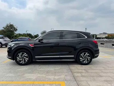 2022 Hongqi HS5 2.0T Smart Connect Premium Edition, фото 4, лот 11081379
