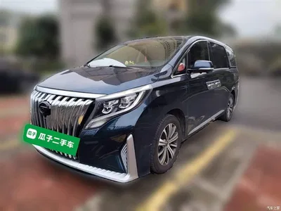 2019 GAC Trumpchi Trumpchi M8 320T Ultimate Edition, фото 1, лот 10425167