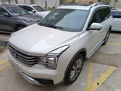 2017 GAC Trumpchi Trumpchi GS8 320T 2WD Luxury Smart Connect (7-seater), фото 1, лот 10422397
