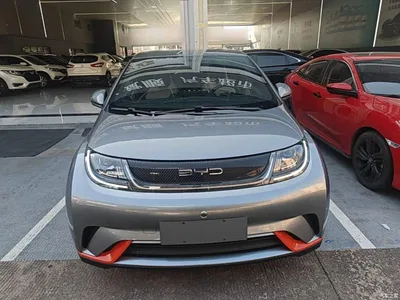 2021 BYD Dolphin 405km Freedom Edition, фото 3, лот 11196023