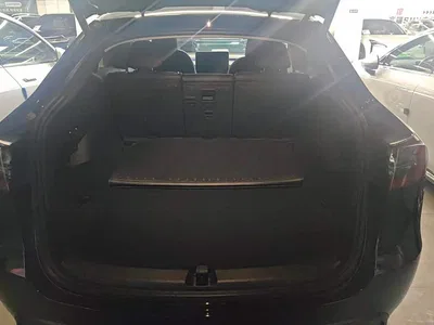 2022 Tesla Model Y Rear-Wheel Drive Version, фото 4, лот 10767723