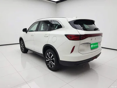 2024 Haval H6 Model 1.5T 2WD Classic Edition, фото 4, лот 10386823