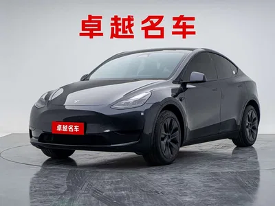 2024 Tesla Model Y Rear-Wheel Drive Version, фото 1, лот 11228248