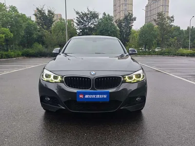 2019 BMW 3 Series GT 320i M Sport Model, фото 2, лот 11550923