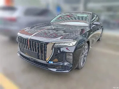 2024 Hongqi H9 2.0T Qi Enjoy Private Fashion Edition, фото 1, лот 10289821