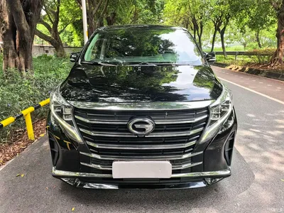 2021 GAC Trumpchi Trumpchi M8 Leading Show Series 390T Prestige Edition, фото 2, лот 11012270