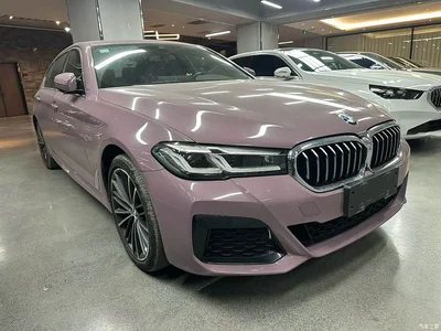 2021 BMW 5 Series 530Li Leading M Sport Package, фото 1, лот 10450285