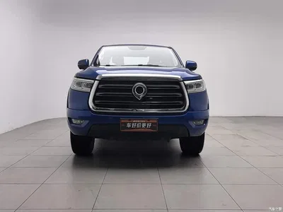 2019 Great Wall Pao 2.0T Automatic Gasoline 2WD Comfort GW4C20B, фото 3, лот 10392963