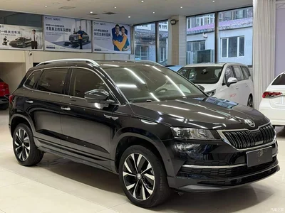 2022 Škoda Karoq TSI280 Smart Brilliance Edition, фото 3, лот 10393042
