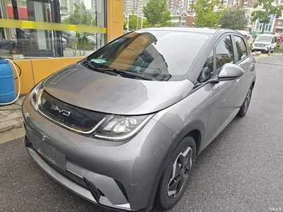 2021 BYD Dolphin Model 405km Fashion Edition, фото 1, лот 10263950