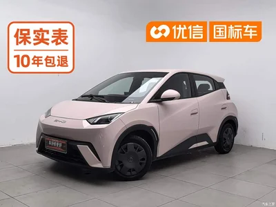 2024 BYD Seagull Glory Edition 305km Vitality Edition, фото 1, лот 11536799