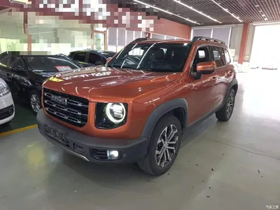 2021 Haval Big Dog 1.5T DCT 2WD Border Collie Edition, фото 1, лот 10895033