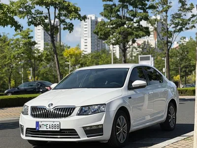 2017 Škoda Octavia 1.6L Automatic Pioneer Edition, фото 1, лот 10348940