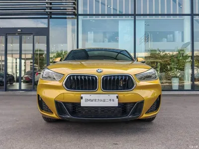 2021 BMW X2 sDrive25i Leading M Sport Package, фото 3, лот 10444208