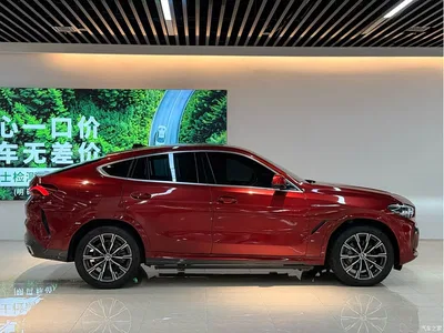 2020 BMW X6 xDrive30i M Sport Package, фото 3, лот 10408093