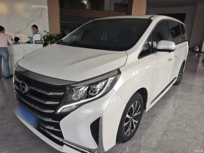 2021 GAC Trumpchi Trumpchi M8 Leading Show Series 390T Luxury Edition, фото 1, лот 10424633