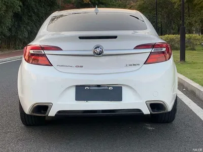 2014 Buick Regal GS 2.0T Passion Sport Edition, фото 3, лот 10256202