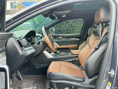 2021 BYD Tang New Energy DM-i 112KM Premium, фото 4, лот 10679895
