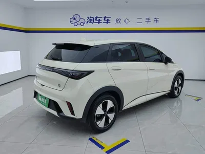 2023 BYD Dolphin 420km Freedom Edition, фото 3, лот 10605692