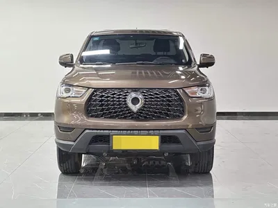 2021 Great Wall Pao 2.0T Commercial Edition Automatic Diesel 4WD Elite Long Box GW4D20M, фото 2, лот 10364242
