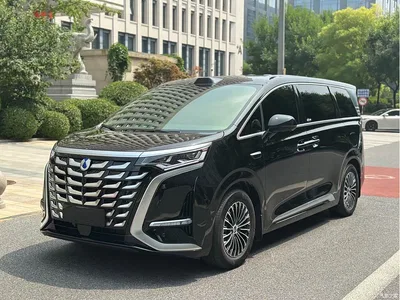 2025 Denza D9 DM-i Smart Drive Edition 1020 AWD Premium, фото 1, лот 11018371
