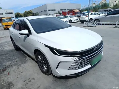 2024 BYD Destroyer 05 Glory Edition DM-i 55KM Luxury, фото 4, лот 10382398