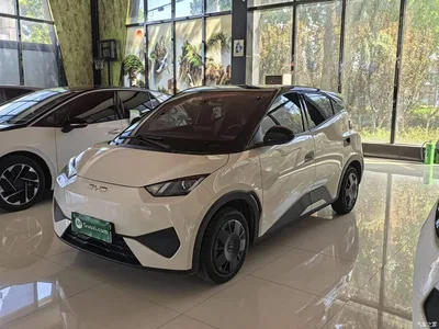 2025 BYD Seagull Smart Drive Edition 305km Vitality Version, фото 2, лот 11012237