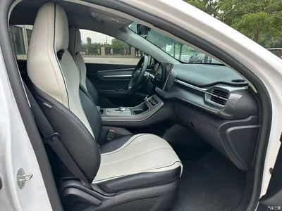 2024 BYD Destroyer 05 Glory Edition DM-i 55KM Luxury, фото 4, лот 10246274
