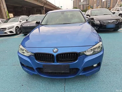 2019 BMW 3 Series 320Li M Sport Black Night Edition, фото 3, лот 10457549
