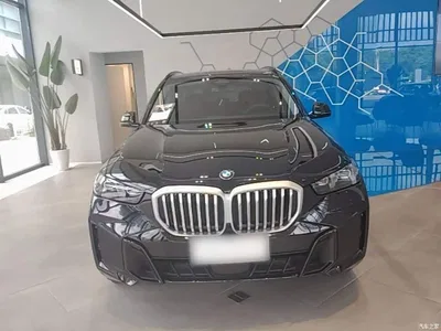 2023 BMW X5 xDrive 30Li Premium M Sport Black Night Package, фото 3, лот 10463323