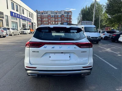 2021 Haval H6 Model National Trend Edition 1.5T Auto Champion, фото 3, лот 10300477