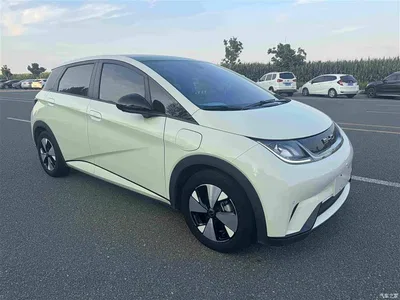 2023 BYD Dolphin 420km Fashion Edition, фото 2, лот 10258119