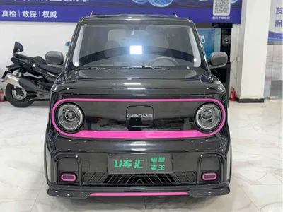 2025 Geely Galaxy Panda Model Year 210km Panda Kart, фото 2, лот 10431261