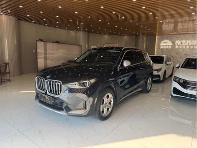 2023 BMW X1 sDrive20Li X Design Package, фото 1, лот 10466660
