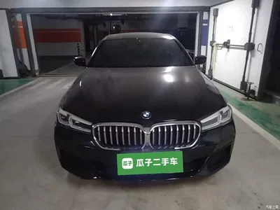 2023 BMW 5 Series 530Li Leading M Sport Package, фото 4, лот 11007958