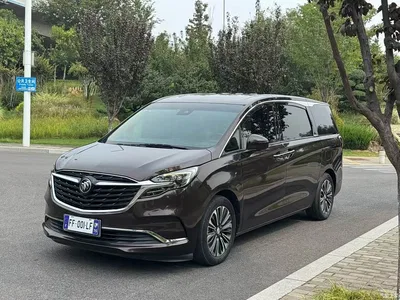 2020 Buick GL8 Model ES Landglory 653T Luxury, фото 1, лот 11459735