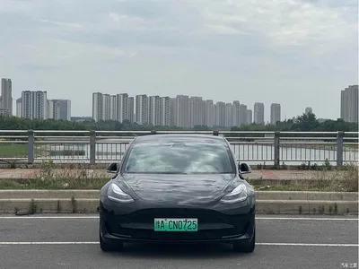 2020 Tesla Model 3 Standard Range Rear-Wheel Drive Upgrade, фото 2, лот 10358875